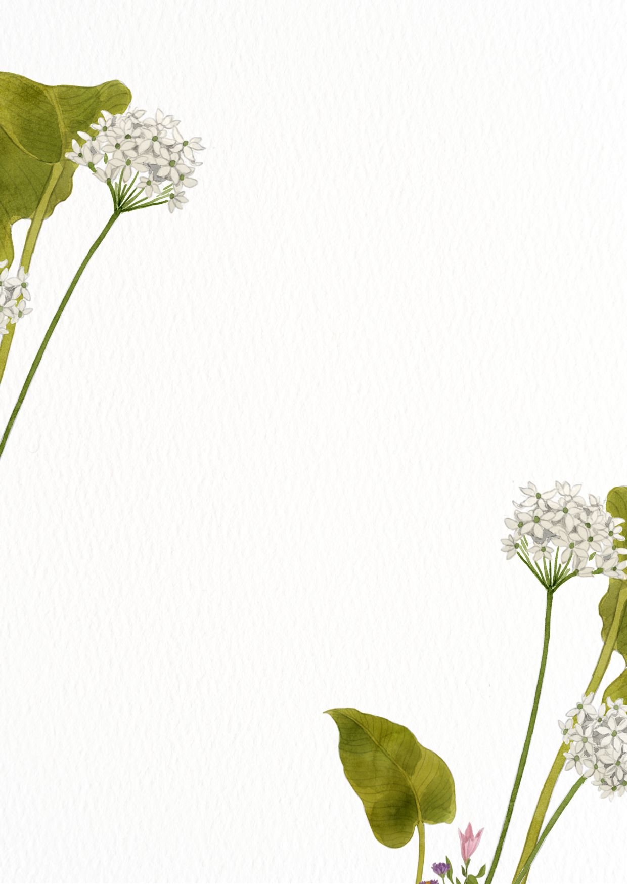 Green and White Floral Bordered Wedding Invitation